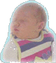 TomEsch